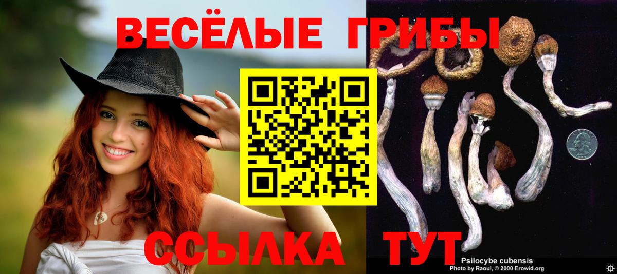 Сегежа  Псилоцибиновые грибы Cubensis  Вход с VPN 